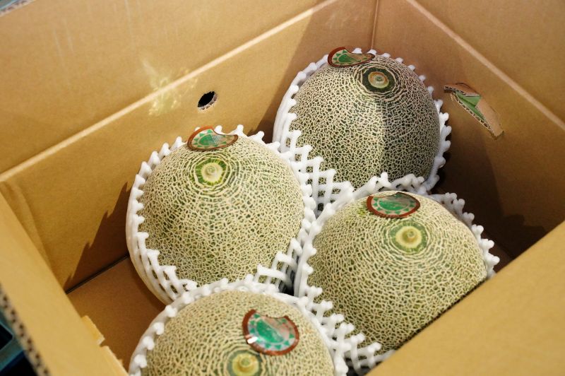 初出荷を迎えた特産メロン。１玉ずつ貼られた飯岡メロンロゴマークのシールには生産者名も記されていた